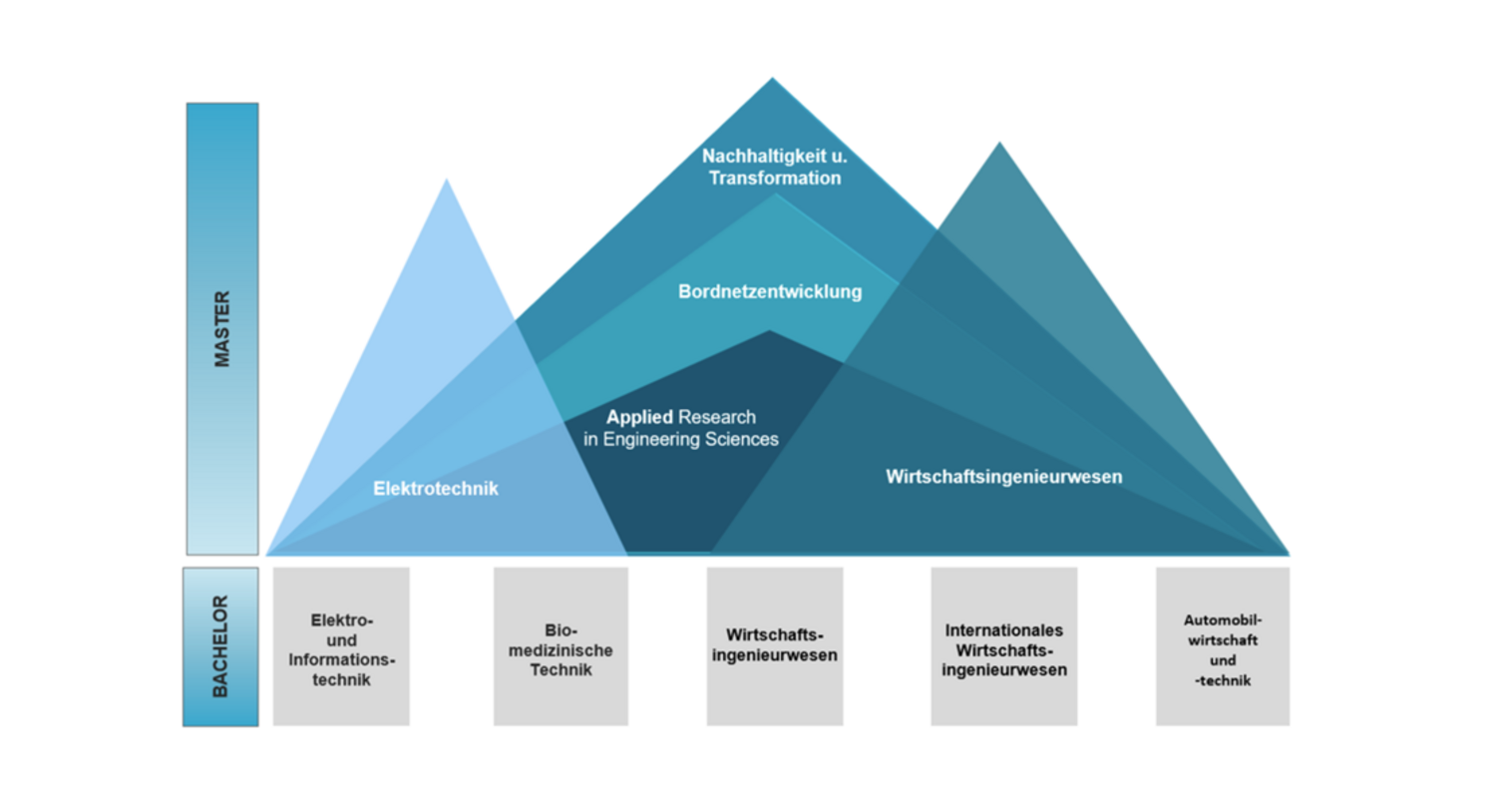 Optionen für Masterstudiengänge