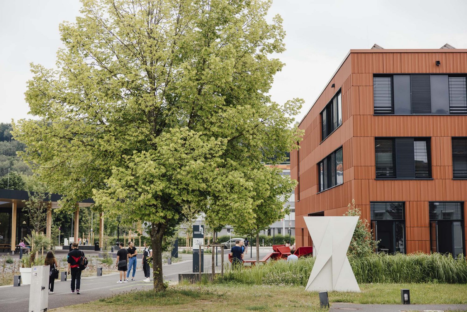 Ansicht der Hochschule, die auf der rechten Seite ein rotes Gebäude, mittig einen grünen Laubbaum und links davon Studierende auf einem asphaltierten Weg zeigt.